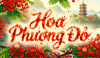 Hoa Phượng Đỏ
