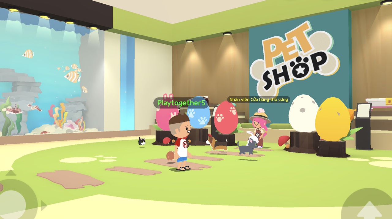 Hoạt động Thú cưng