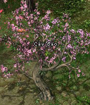 Kiếm Thế Kiếm Thế