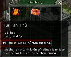 túi tân thủ