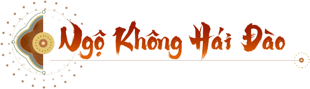 Ngo Khong Hai Dao