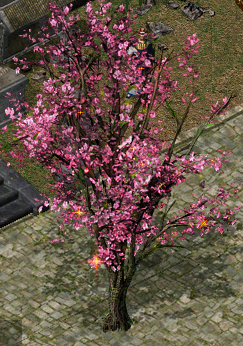 Võ Lâm Miễn Phí