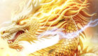 Máy chủ mới Kim Long