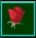 Hoa Hồng Đỏ Thường