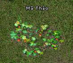 Kiếm Thế