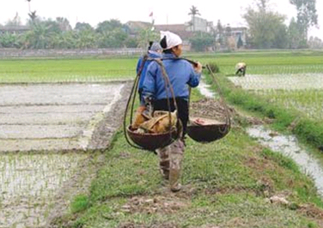 Kiếm Thế