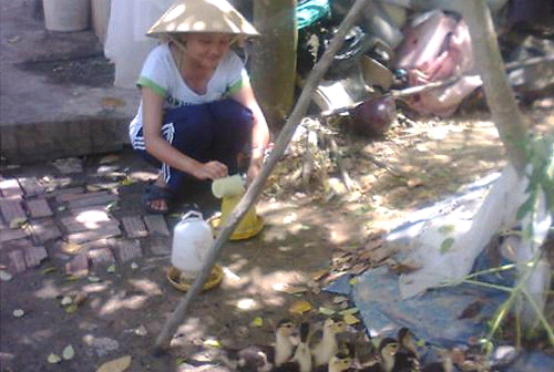 Kiếm Thế